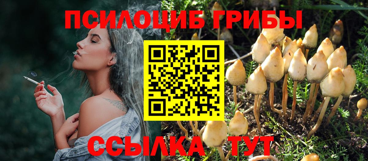 Псилоцибиновые грибы Psilocybine cubensis  Вход с VPN  Кашира 